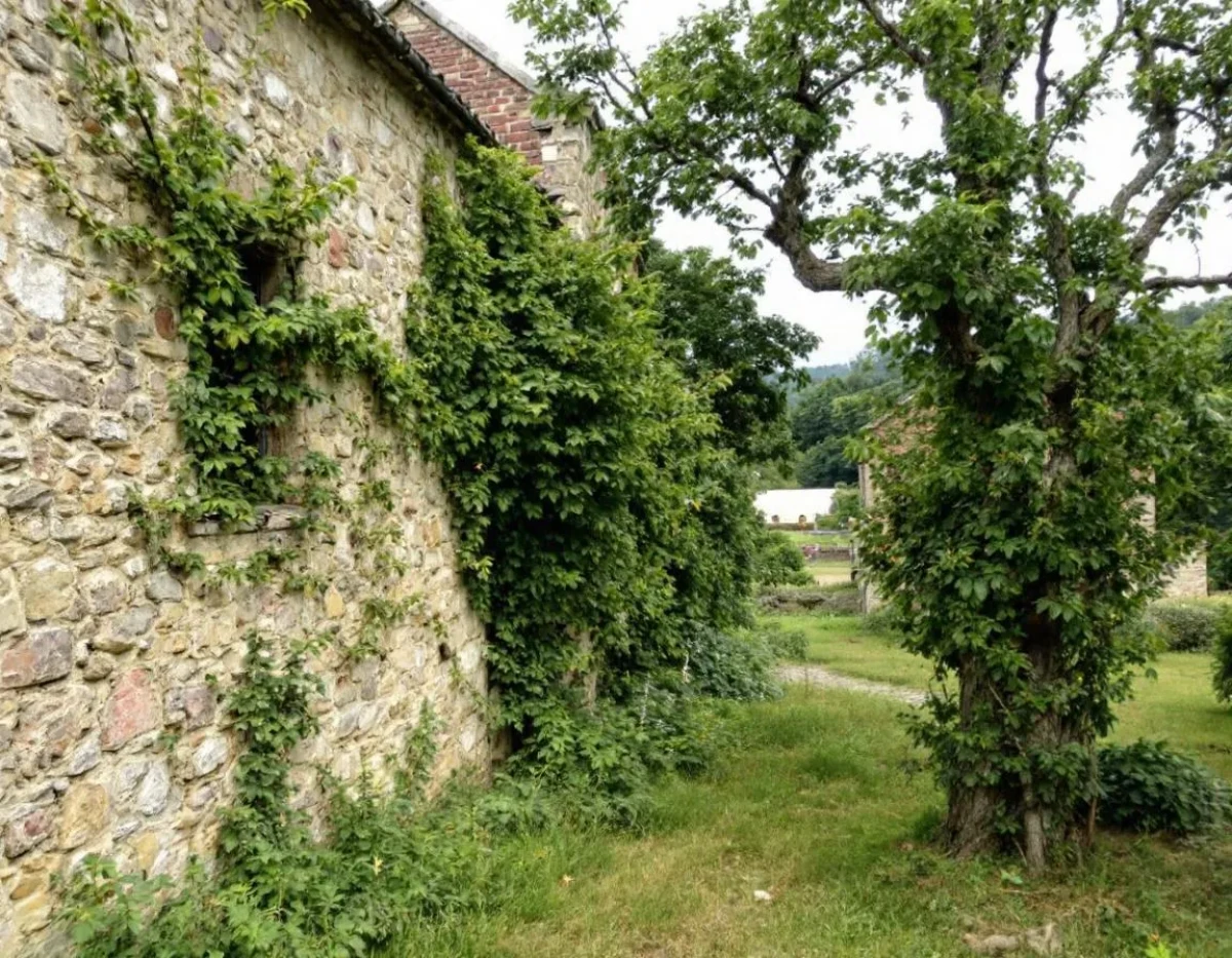 Héritage : Les Étapes pour Assurer une Transmission Sereine de votre Patrimoine